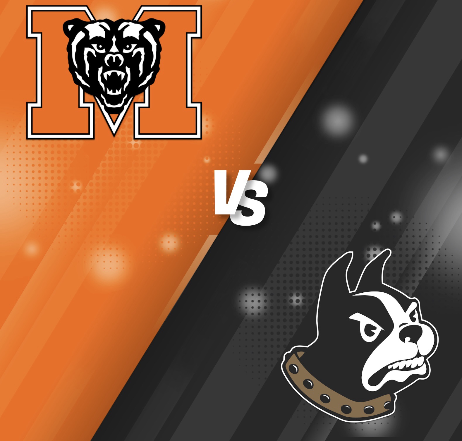 Mercer Bears Wofford Terriers FCS Football